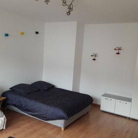 Mathilde'S Studio Apartment Strasbourg Exterior foto